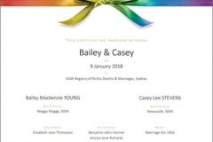 Marriage Rainbow Bow